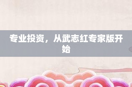 专业投资，从武志红专家版开始