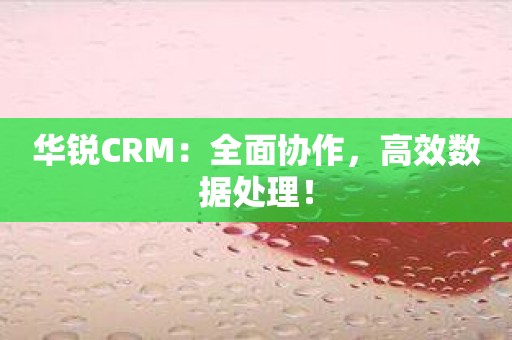 华锐CRM：全面协作，高效数据处理！