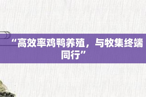 “高效率鸡鸭养殖，与牧集终端同行”