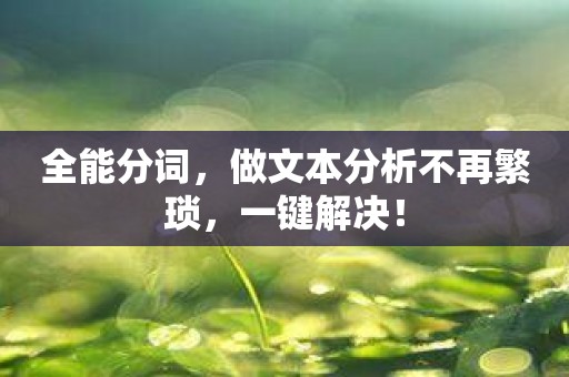 全能分词，做文本分析不再繁琐，一键解决！