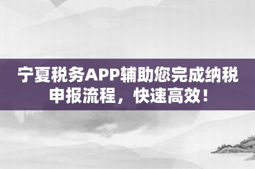 宁夏税务APP辅助您完成纳税申报流程，快速高效！