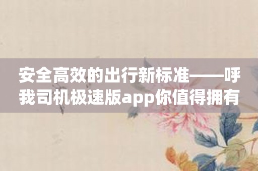 安全高效的出行新标准——呼我司机极速版app你值得拥有