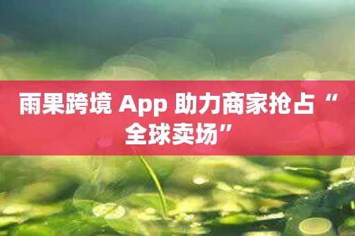 雨果跨境 App 助力商家抢占“全球卖场”