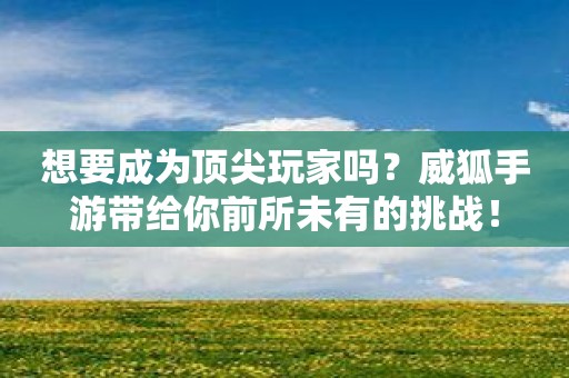 想要成为顶尖玩家吗？威狐手游带给你前所未有的挑战！