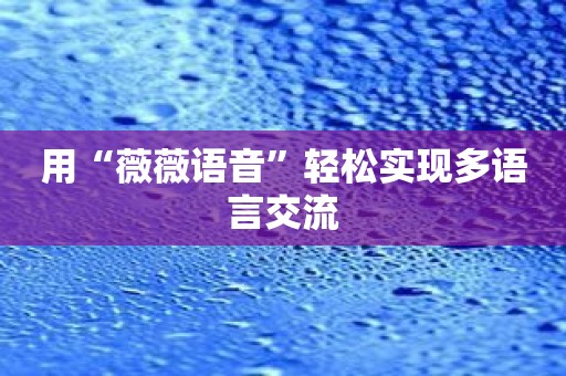 用“薇薇语音”轻松实现多语言交流