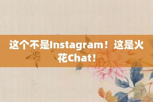 这个不是Instagram！这是火花Chat！