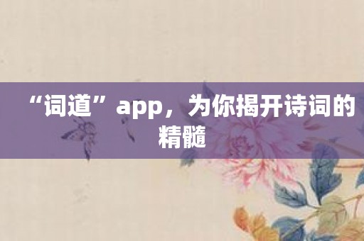 “词道”app，为你揭开诗词的精髓