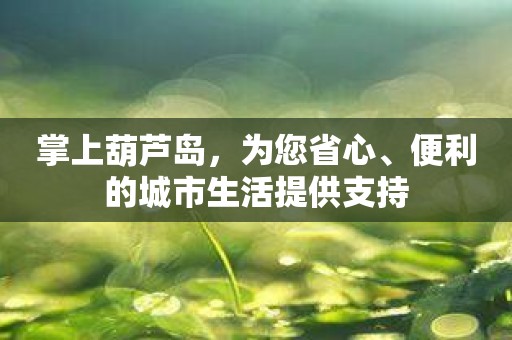 掌上葫芦岛，为您省心、便利的城市生活提供支持