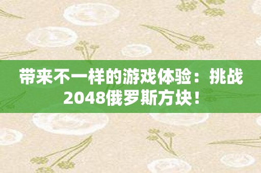 带来不一样的游戏体验：挑战2048俄罗斯方块！