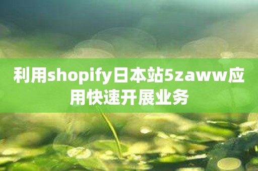 利用shopify日本站5zaww应用快速开展业务