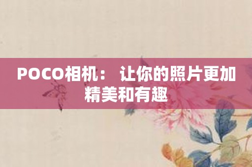 POCO相机： 让你的照片更加精美和有趣