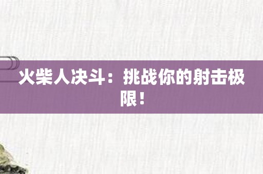 火柴人决斗：挑战你的射击极限！