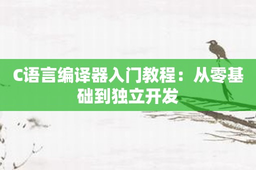 C语言编译器入门教程：从零基础到独立开发