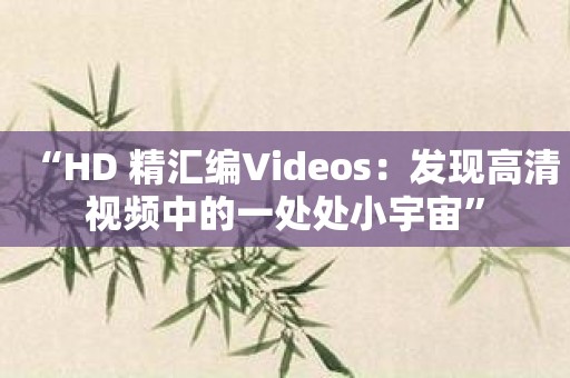 “HD 精汇编Videos：发现高清视频中的一处处小宇宙”