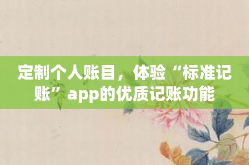 定制个人账目，体验“标准记账”app的优质记账功能