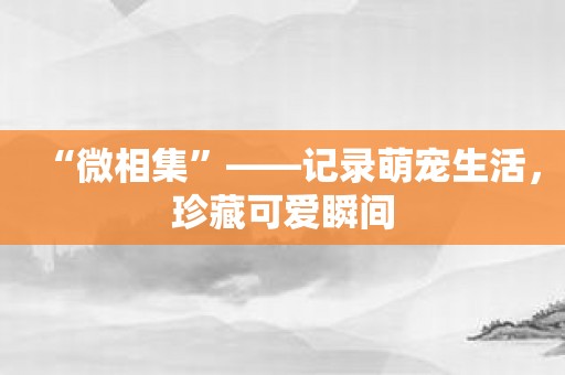 “微相集”——记录萌宠生活，珍藏可爱瞬间