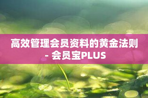 高效管理会员资料的黄金法则 - 会员宝PLUS