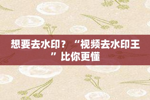 想要去水印？“视频去水印王”比你更懂