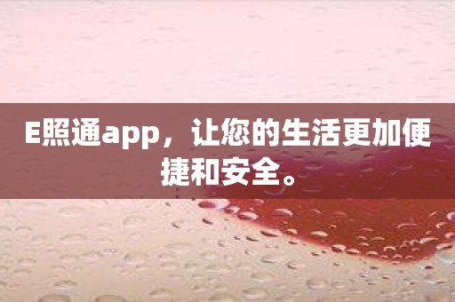 E照通app，让您的生活更加便捷和安全。