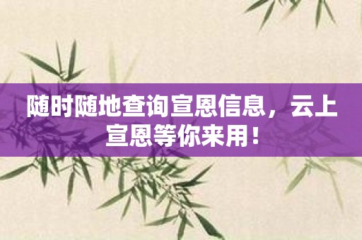 随时随地查询宣恩信息，云上宣恩等你来用！