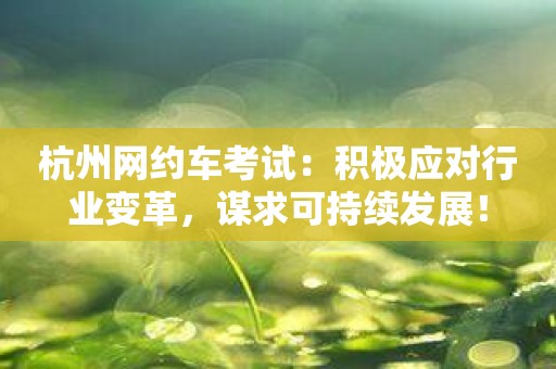 杭州网约车考试：积极应对行业变革，谋求可持续发展！