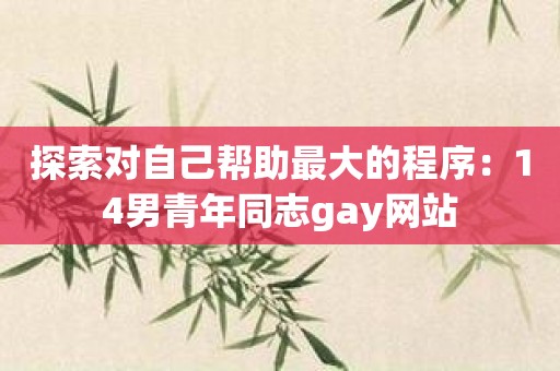 探索对自己帮助最大的程序：14男青年同志gay网站