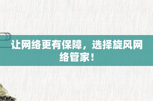 让网络更有保障，选择旋风网络管家！