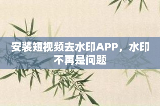 安装短视频去水印APP，水印不再是问题