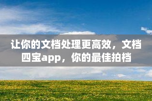 让你的文档处理更高效，文档四宝app，你的最佳拍档