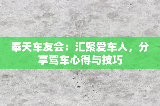 奉天车友会：汇聚爱车人，分享驾车心得与技巧