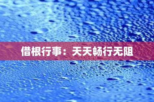 借根行事：天天畅行无阻