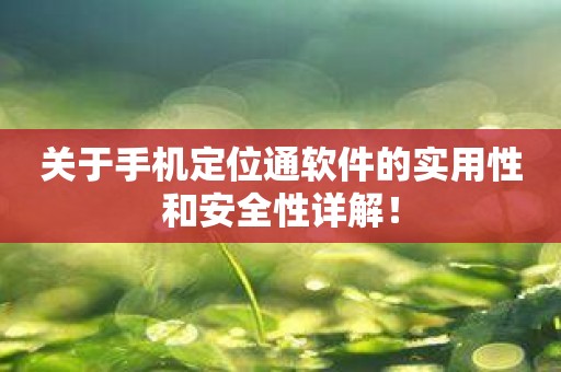 关于手机定位通软件的实用性和安全性详解！