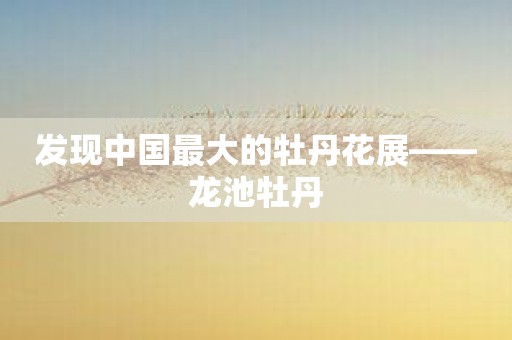 发现中国最大的牡丹花展——龙池牡丹