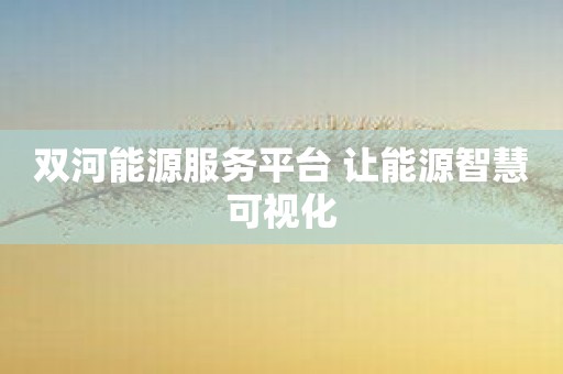 双河能源服务平台 让能源智慧可视化