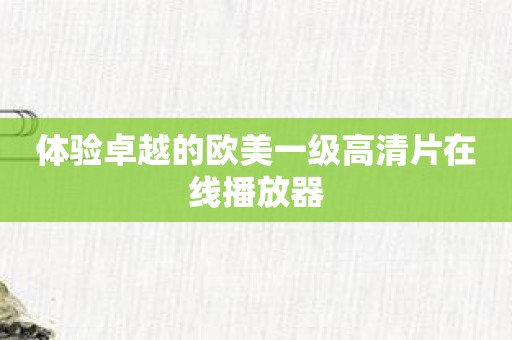 体验卓越的欧美一级高清片在线播放器