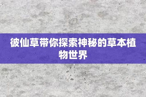 彼仙草带你探索神秘的草本植物世界