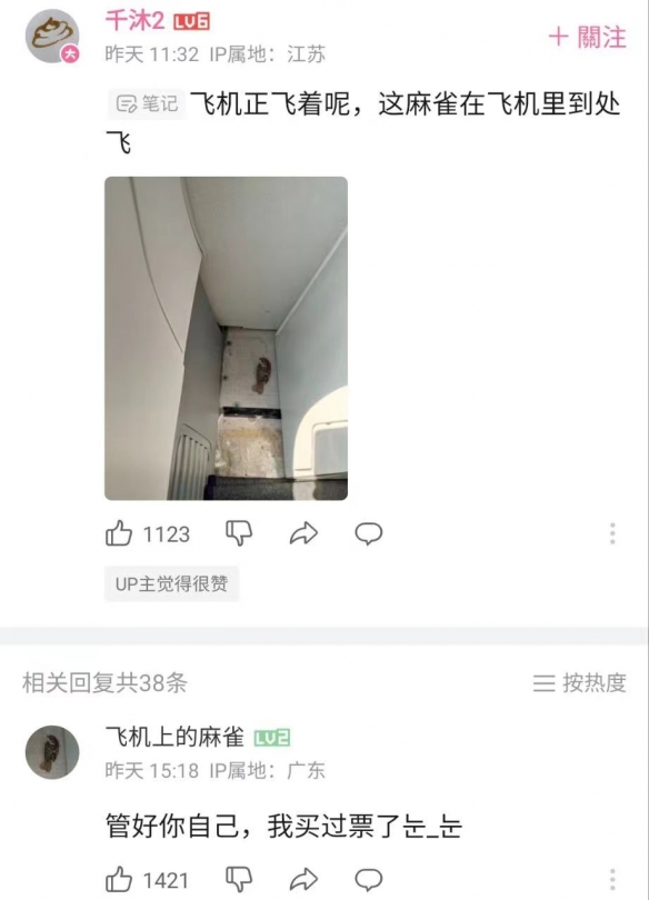 dlss选什么模式