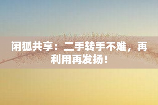 闲狐共享：二手转手不难，再利用再发扬！