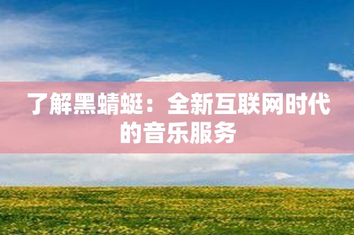 了解黑蜻蜓：全新互联网时代的音乐服务