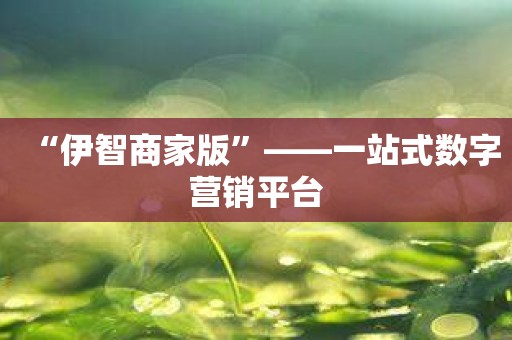 “伊智商家版”——一站式数字营销平台