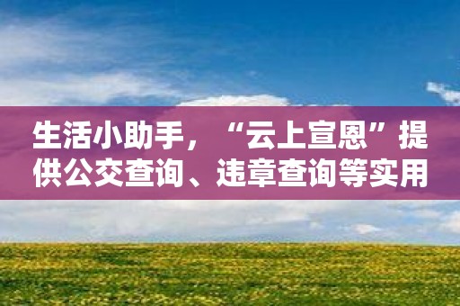 生活小助手，“云上宣恩”提供公交查询、违章查询等实用功能