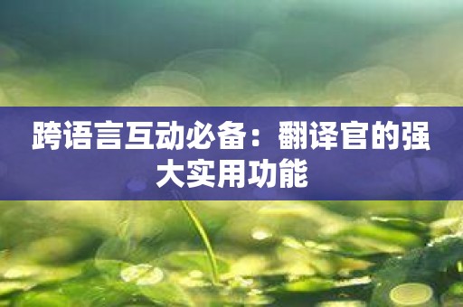 跨语言互动必备：翻译官的强大实用功能