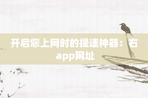 开启您上网时的提速神器：右 app网址