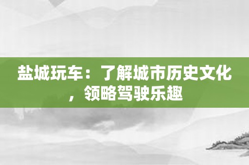 盐城玩车：了解城市历史文化，领略驾驶乐趣