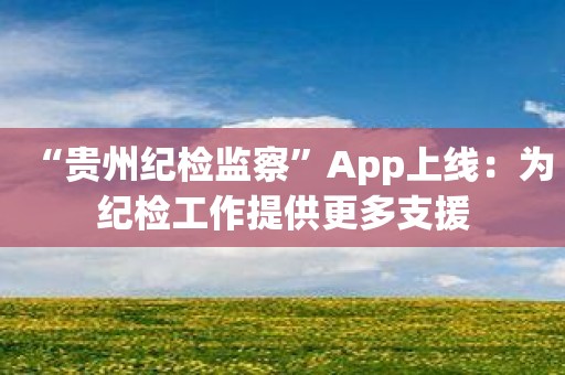 “贵州纪检监察”App上线：为纪检工作提供更多支援