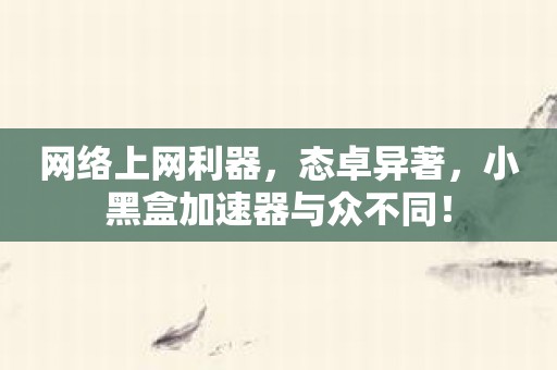 网络上网利器，态卓异著，小黑盒加速器与众不同！