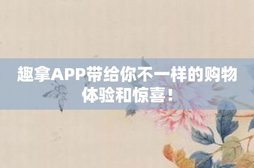 趣拿APP带给你不一样的购物体验和惊喜！