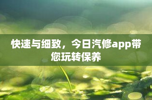 快速与细致，今日汽修app带您玩转保养