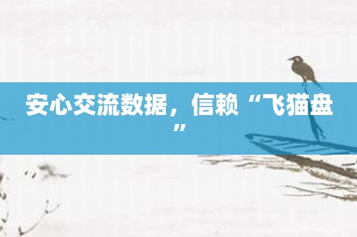 安心交流数据，信赖“飞猫盘”