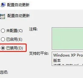 window10暂停更新(win10暂停系统更新)